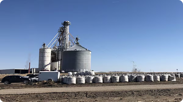 Biofuel Infrastructure
