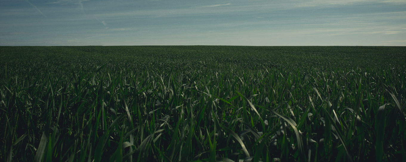 Sustainability Field